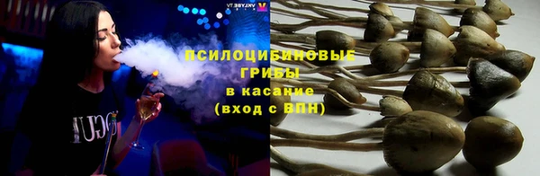 PSILOCYBIN Алексеевка