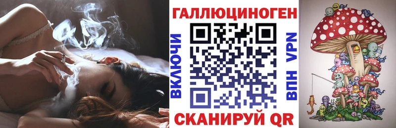 где найти наркотики  Болхов  мега онион  Псилоцибиновые грибы MAGIC MUSHROOMS 